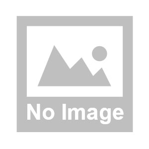 Racechip